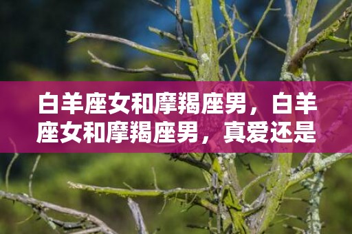白羊座女和摩羯座男，白羊座女和摩羯座男，真爱还是天敌？