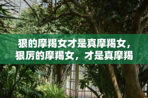 狠的摩羯女才是真摩羯女，狠厉的摩羯女，才是真摩羯女吗？
