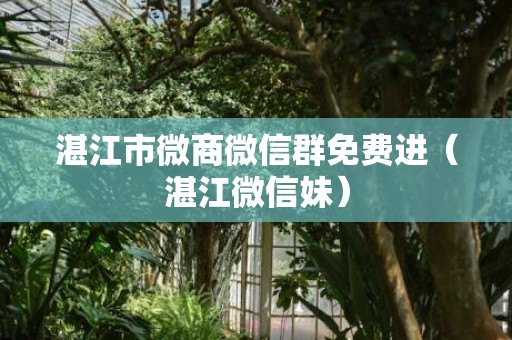 湛江市微商微信群免费进（湛江微信妹）