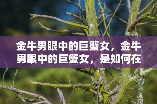 金牛男眼中的巨蟹女，金牛男眼中的巨蟹女，是如何在家庭中展现她的温柔和关怀呢？
