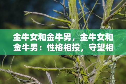 金牛女和金牛男，金牛女和金牛男：性格相投，守望相助还是心心相印？