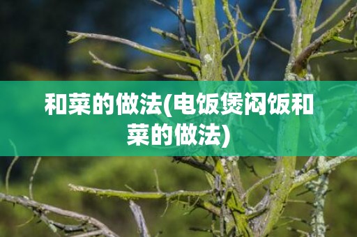 和菜的做法(电饭煲闷饭和菜的做法)