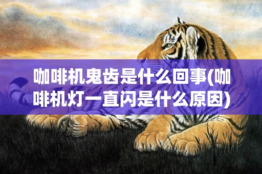 咖啡机鬼齿是什么回事(咖啡机灯一直闪是什么原因)