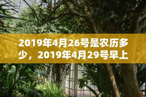 2019年4月26号是农历多少，2019年4月29号早上出生的女孩怎么样起名字