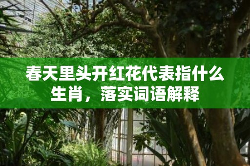 春天里头开红花代表指什么生肖，落实词语解释