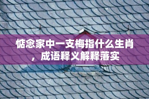 惦念家中一支梅指什么生肖，成语释义解释落实