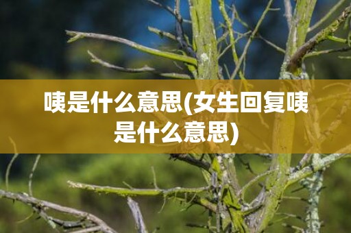 咦是什么意思(女生回复咦是什么意思)