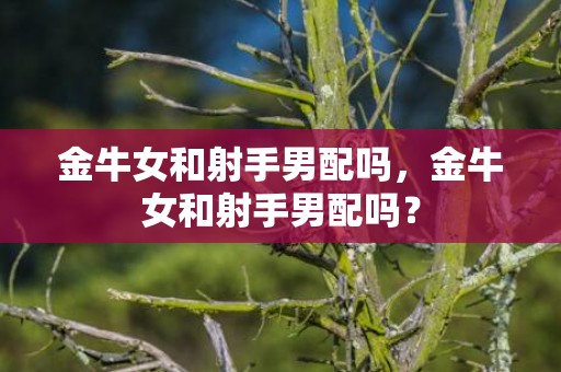 金牛女和射手男配吗，金牛女和射手男配吗？