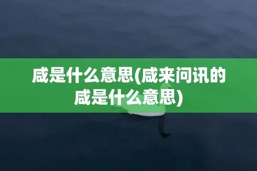 咸是什么意思(咸来问讯的咸是什么意思)