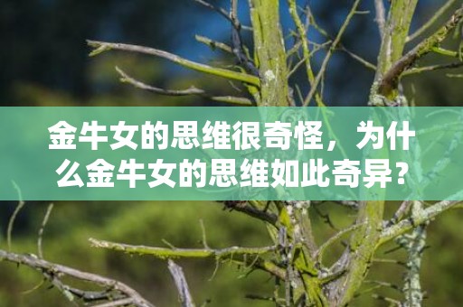 金牛女的思维很奇怪，为什么金牛女的思维如此奇异？
