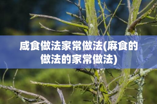 咸食做法家常做法(麻食的做法的家常做法)