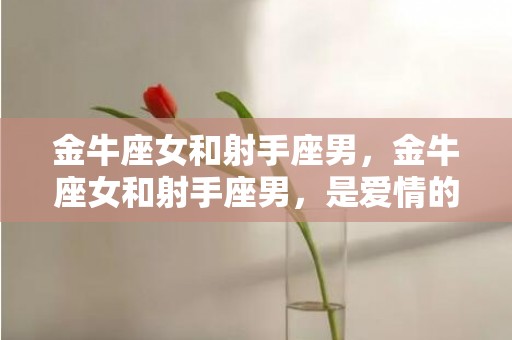 金牛座女和射手座男，金牛座女和射手座男，是爱情的最佳拍档吗？