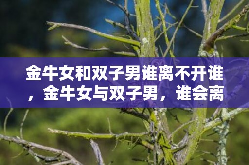 金牛女和双子男谁离不开谁，金牛女与双子男，谁会离不开谁？
