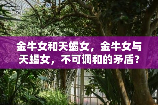 金牛女和天蝎女，金牛女与天蝎女，不可调和的矛盾？