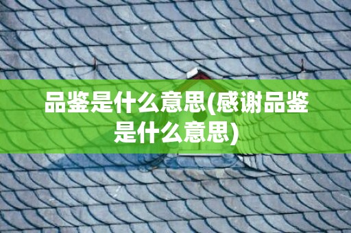 品鉴是什么意思(感谢品鉴是什么意思)