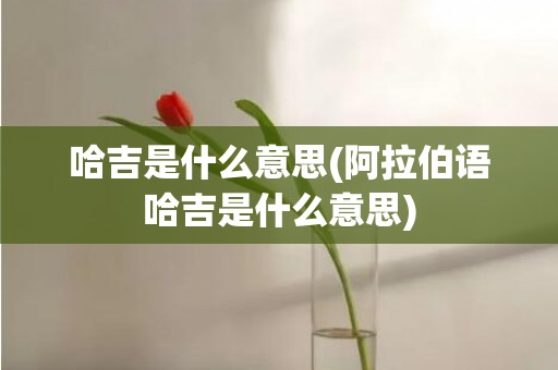 哈吉是什么意思(阿拉伯语哈吉是什么意思)