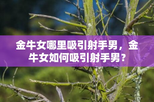 金牛女哪里吸引射手男，金牛女如何吸引射手男？