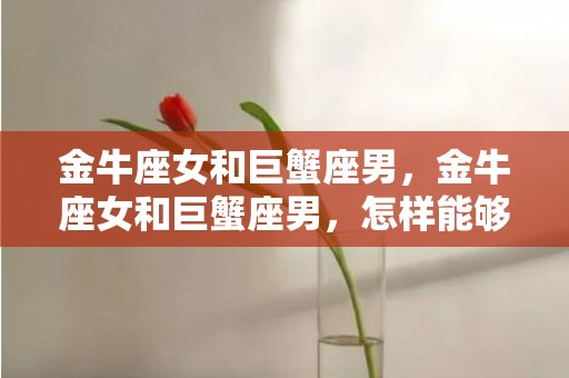 金牛座女和巨蟹座男，金牛座女和巨蟹座男，怎样能够建立稳定的情感关系？