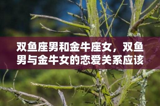 双鱼座男和金牛座女，双鱼男与金牛女的恋爱关系应该怎么处理？