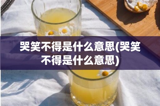 哭笑不得是什么意思(哭笑不得是什么意思)