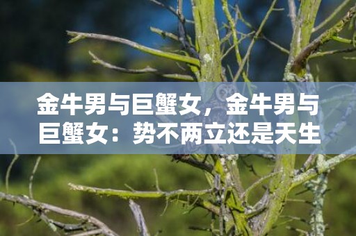 金牛男与巨蟹女，金牛男与巨蟹女：势不两立还是天生一对？