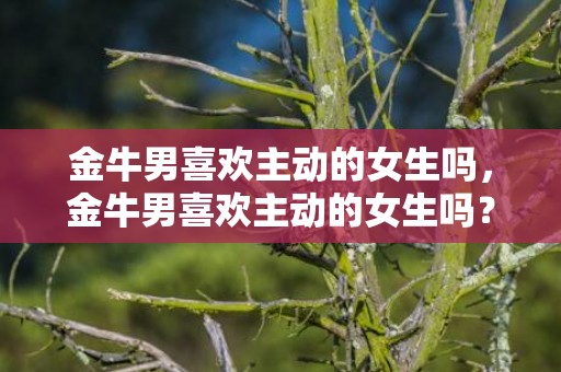 金牛男喜欢主动的女生吗，金牛男喜欢主动的女生吗？