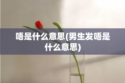 唔是什么意思(男生发唔是什么意思)