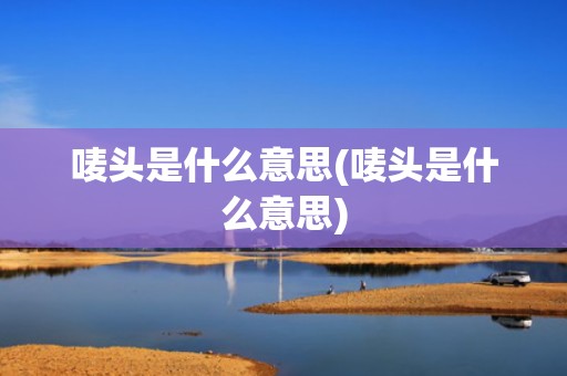 唛头是什么意思(唛头是什么意思)