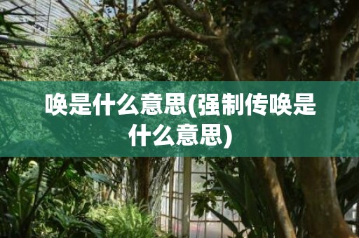 唤是什么意思(强制传唤是什么意思)