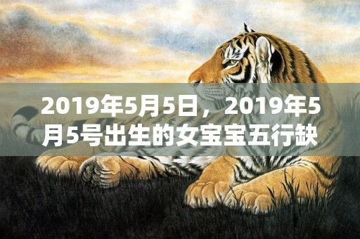 2019年5月5日，2019年5月5号出生的女宝宝五行缺水要怎么起名字