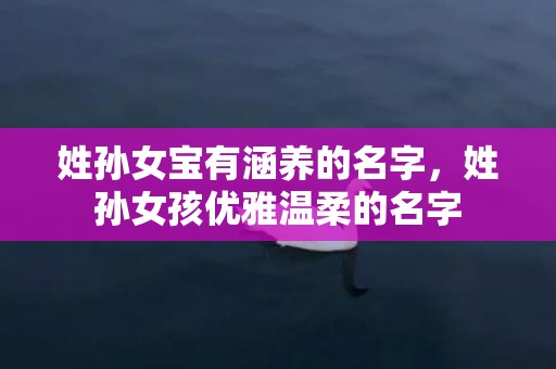 姓孙女宝有涵养的名字，姓孙女孩优雅温柔的名字
