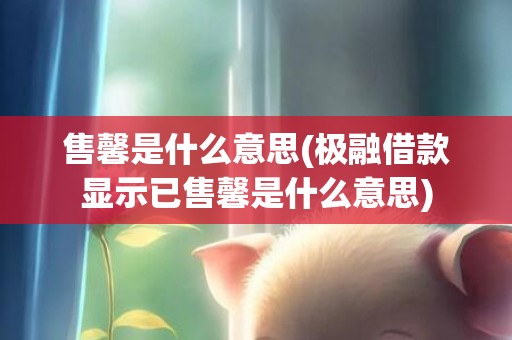 售馨是什么意思(极融借款显示已售馨是什么意思)