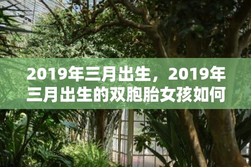 2019年三月出生，2019年三月出生的双胞胎女孩如何起名字，用什么字比较好