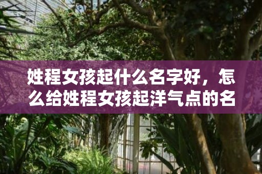 姓程女孩起什么名字好，怎么给姓程女孩起洋气点的名字?程氏女孩名字