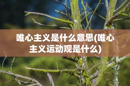 唯心主义是什么意思(唯心主义运动观是什么)