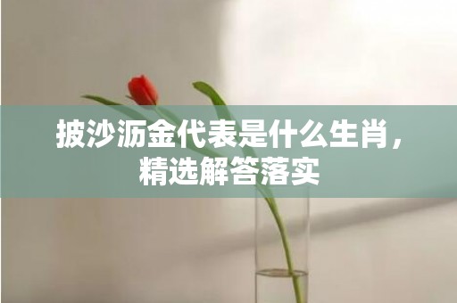 披沙沥金代表是什么生肖，精选解答落实