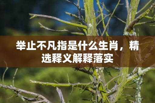 举止不凡指是什么生肖，精选释义解释落实