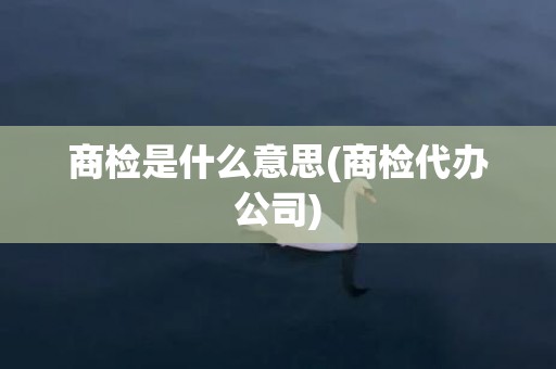 商检是什么意思(商检代办公司)