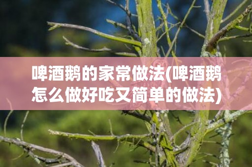 啤酒鹅的家常做法(啤酒鹅怎么做好吃又简单的做法)