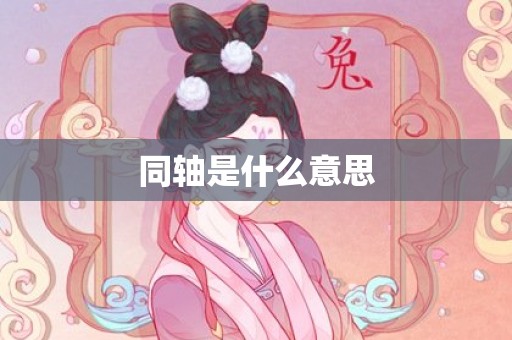 同轴是什么意思