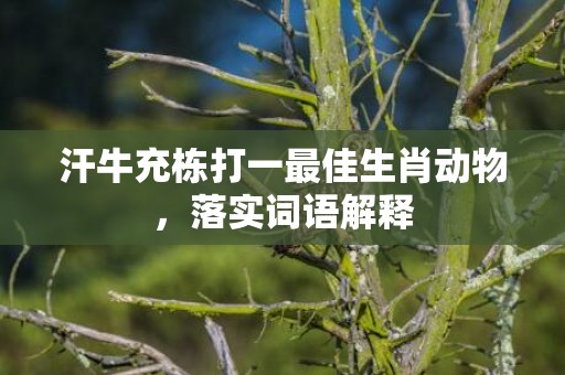 汗牛充栋打一最佳生肖动物，落实词语解释