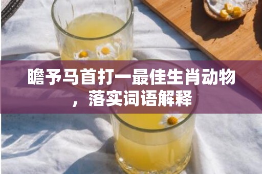 瞻予马首打一最佳生肖动物，落实词语解释
