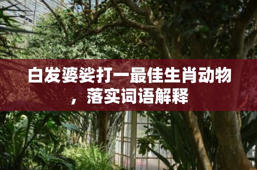 白发婆娑打一最佳生肖动物，落实词语解释