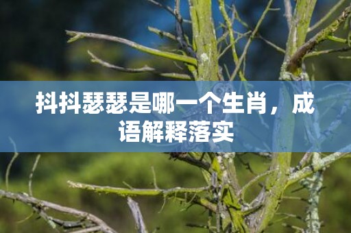 抖抖瑟瑟是哪一个生肖，成语解释落实
