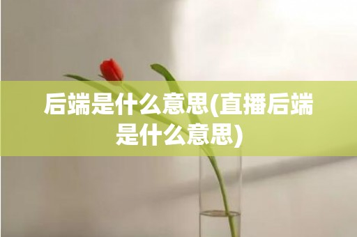 后端是什么意思(直播后端是什么意思)