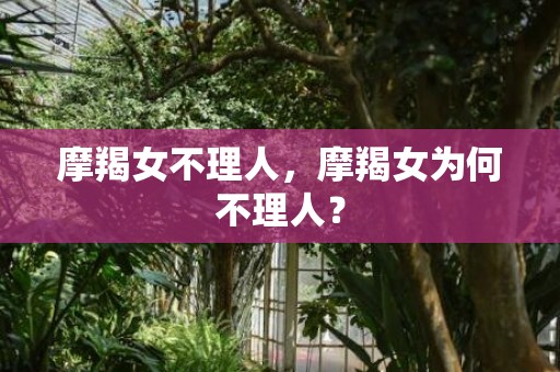 摩羯女不理人，摩羯女为何不理人？
