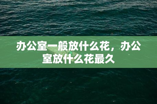 办公室一般放什么花，办公室放什么花最久