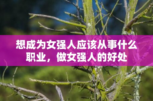 想成为女强人应该从事什么职业，做女强人的好处