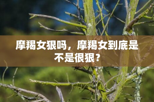 摩羯女狠吗，摩羯女到底是不是很狠？