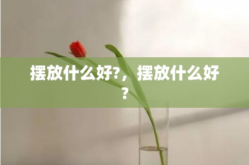 摆放什么好?，摆放什么好?